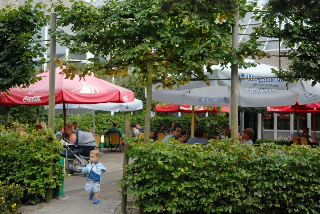 Sunparks Kempense Meren 3*